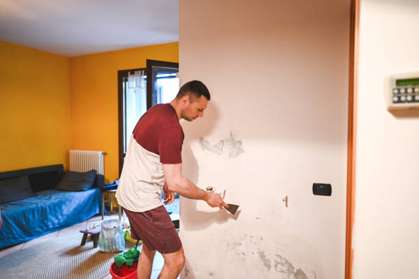 Best Mold Removal Process  in Woodmere, NY